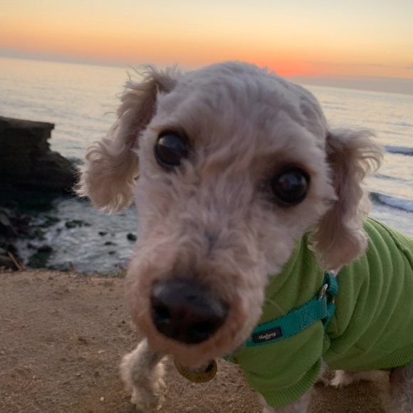 Hello! I'm Sarah - Picture 3 of 4